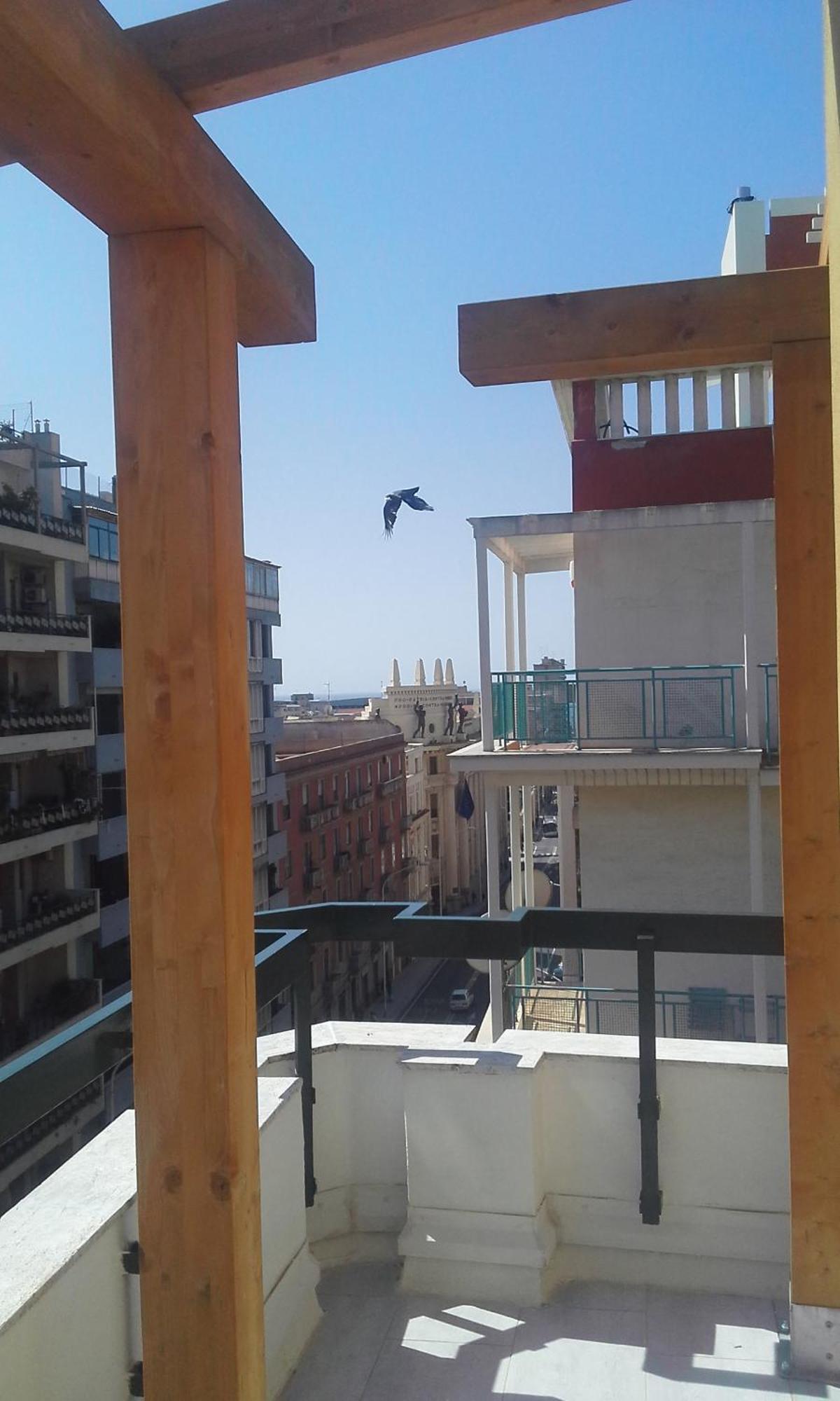 Monolocale Sonnino Villa Cagliari Bagian luar foto